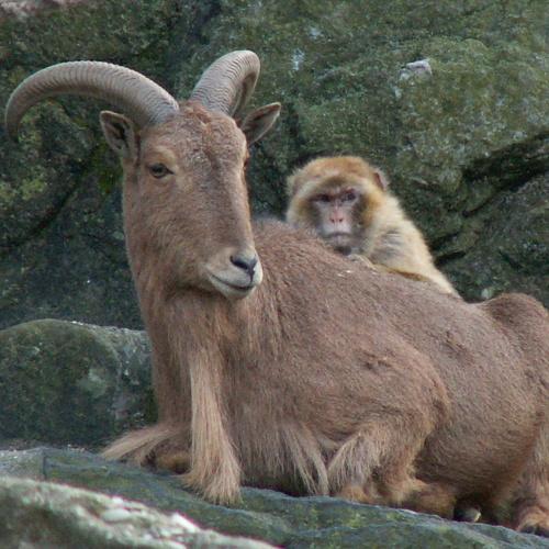 Photo #4105774