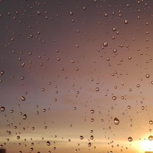 Photo #4105869