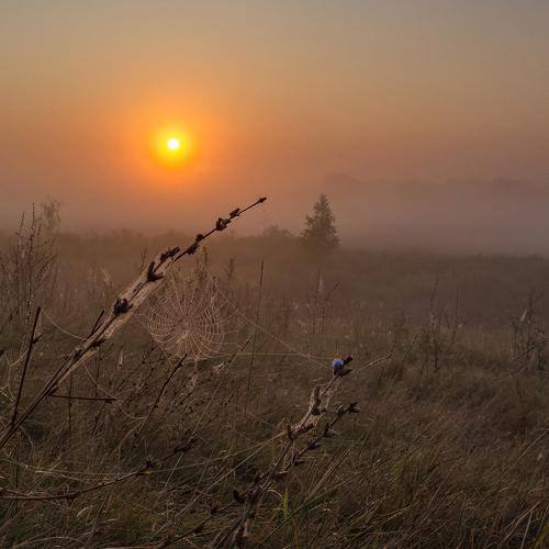 Photo #4106451