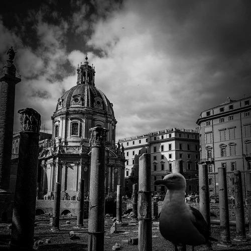 The Bird and Rome