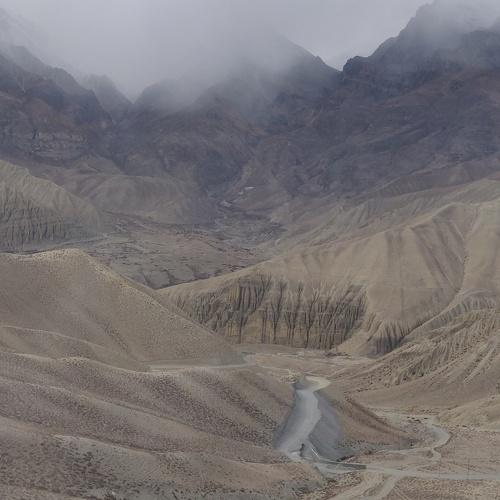 Photo #4106671