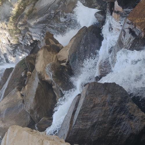 Photo #4106673