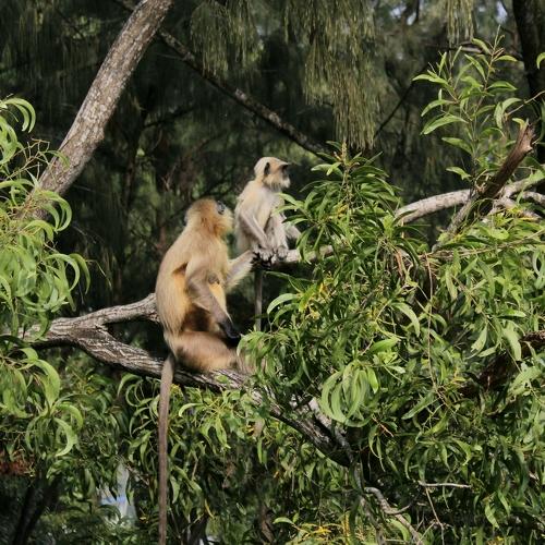 Photo #4106722