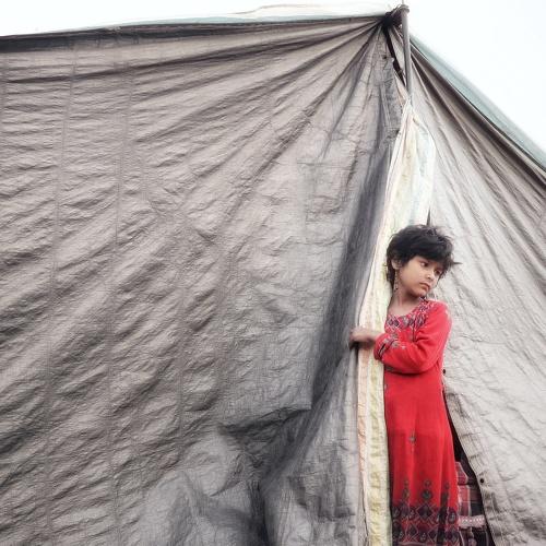 Photo #4107334