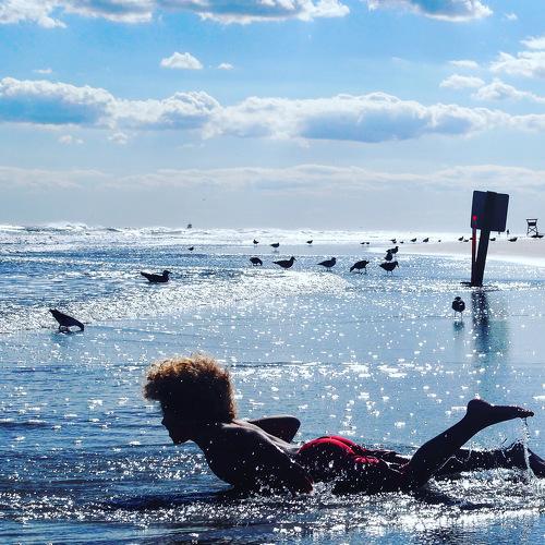 Photo #4107764