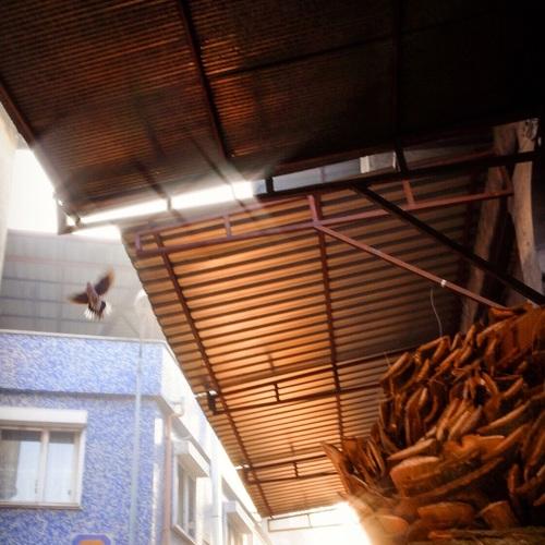 Photo #4107832