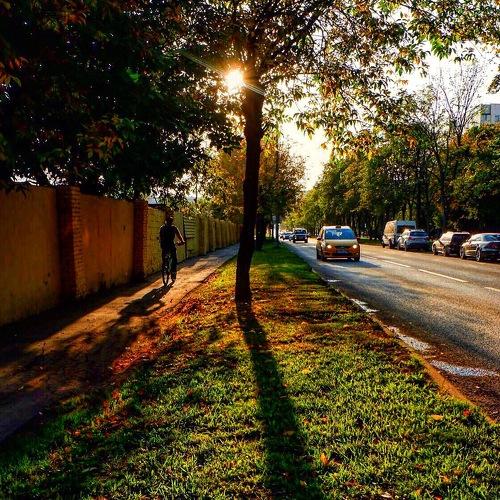 Photo #4108145