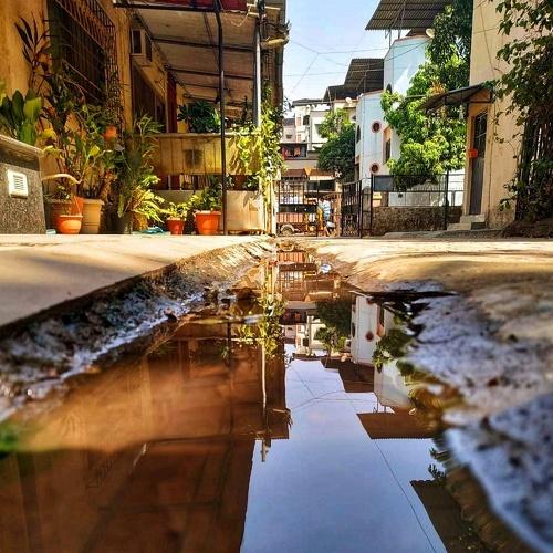 Photo #4108146