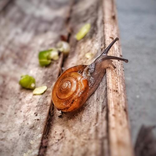 Photo #4108147