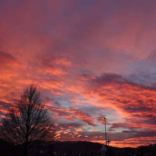 Photo #4108157