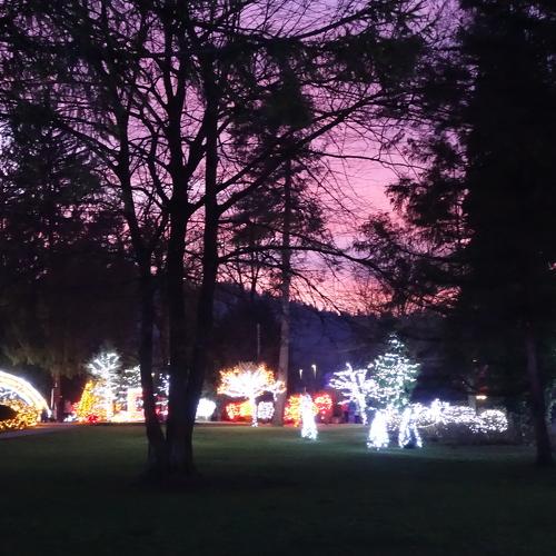 Photo #4108160