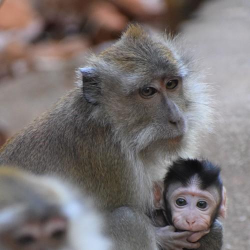 Mother's Love