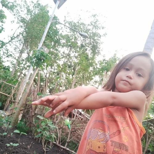 Photo #4108313
