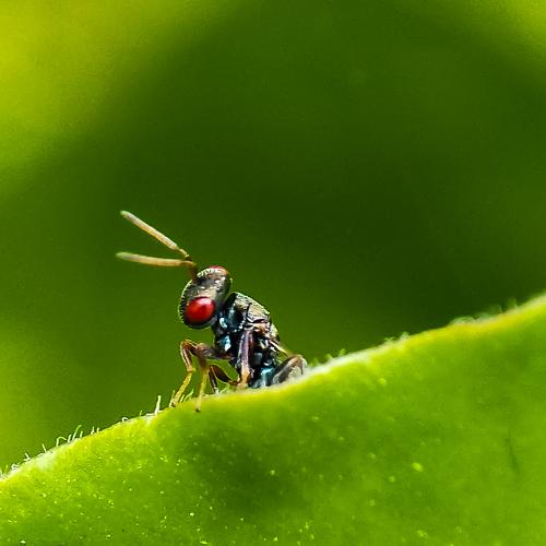 Photo #4108316