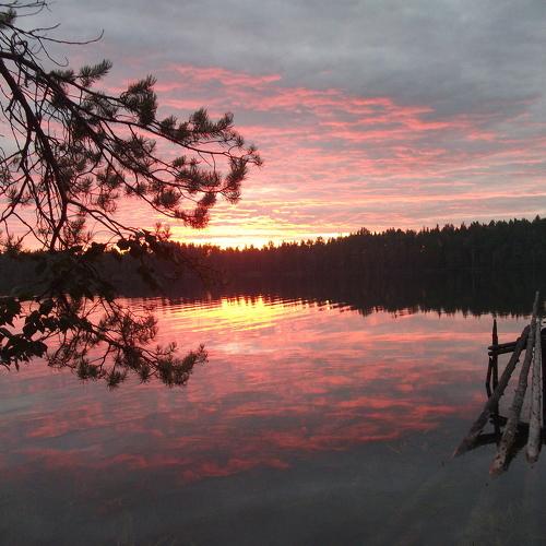 Photo #4108377