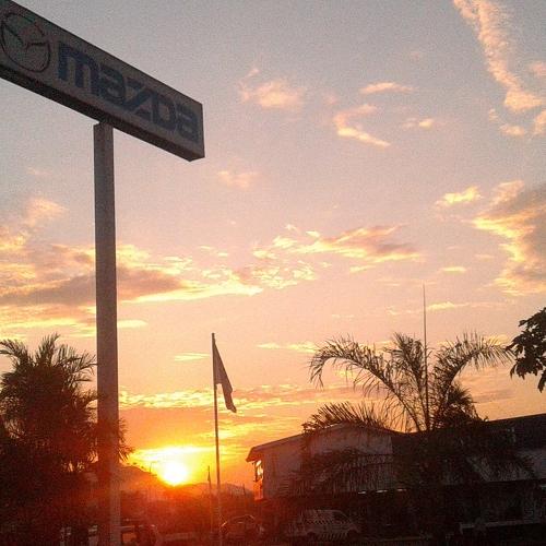 Photo #4108617