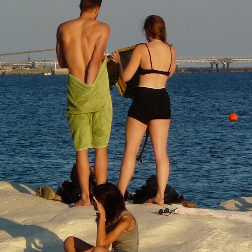 Photo #4108619