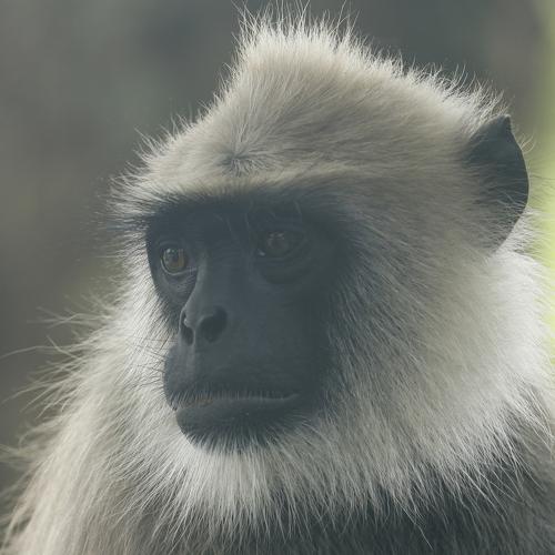 Photo #4108655