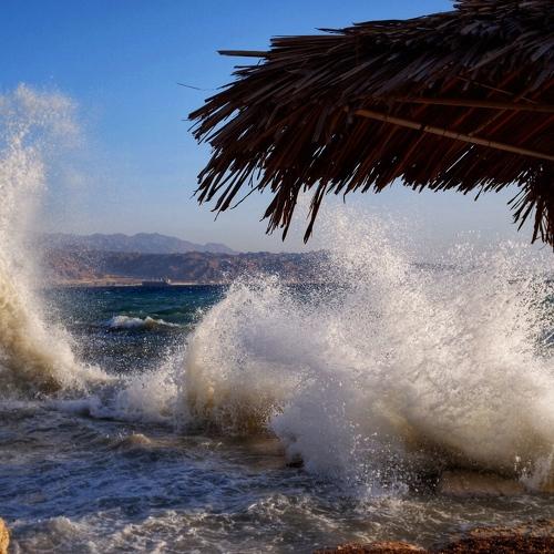 Photo #4108743