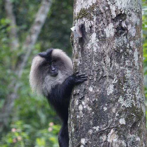 Photo #4108744