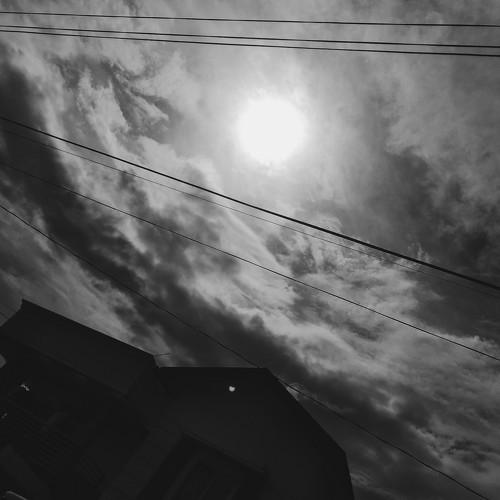 Photo #4108870