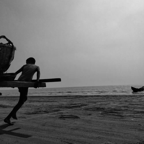 Photo #4108879