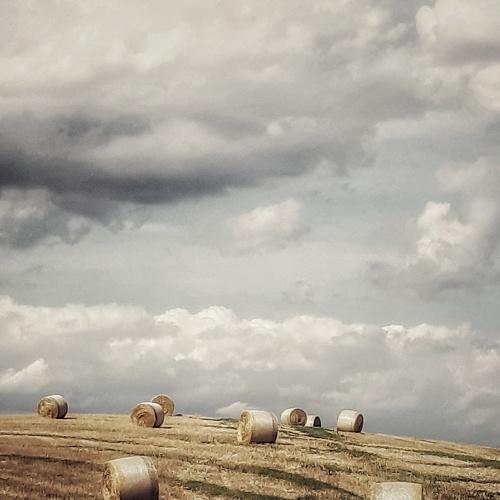 HEARTLAND