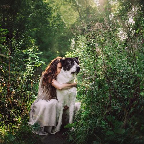 Photo #4109107
