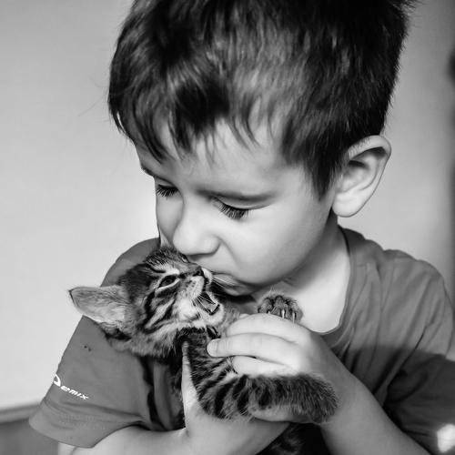 Photo #4109319