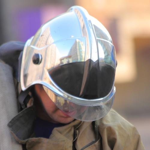 Photo #4110643
