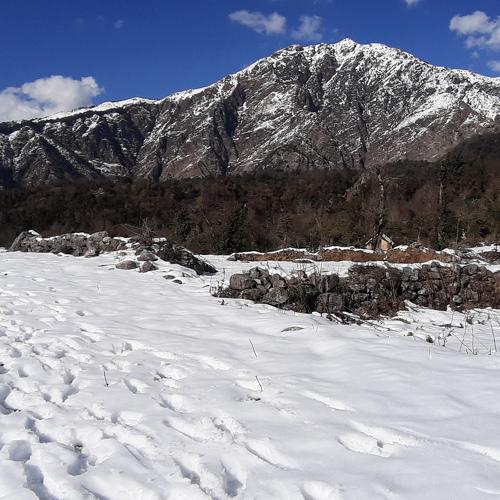 Photo #4111057