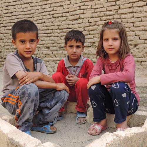 Photo #4111730