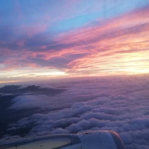 Photo #4111858