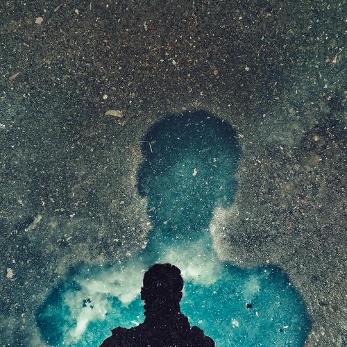 Photo #4112135