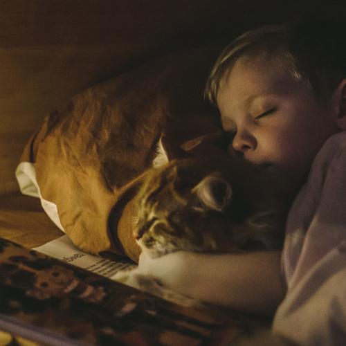 Photo #4112588