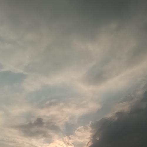 Photo #4112659