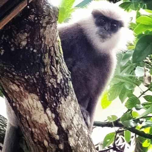 Photo #4112673