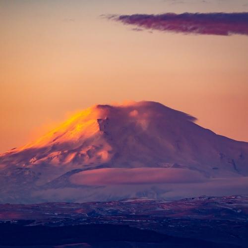 Photo #4112892