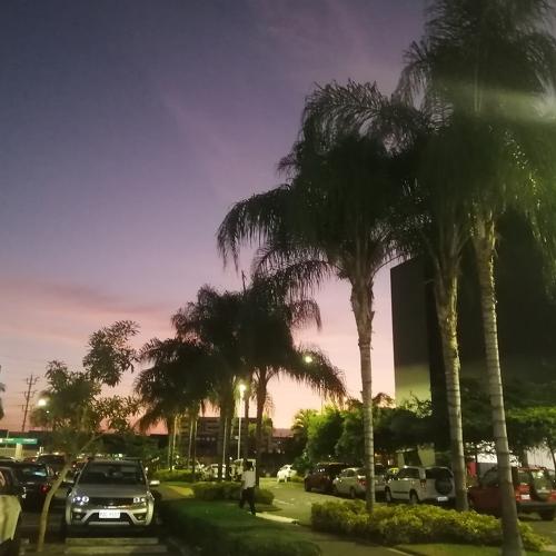 Photo #4112977