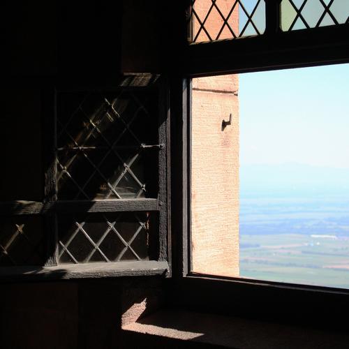 Photo #4113407