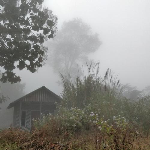 Cloudiness