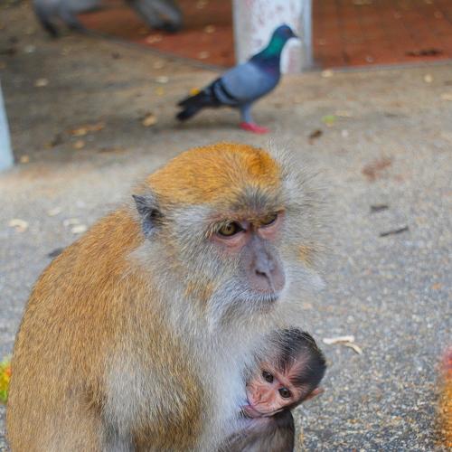 Photo #4114147