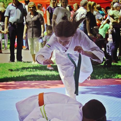 Photo #4114370