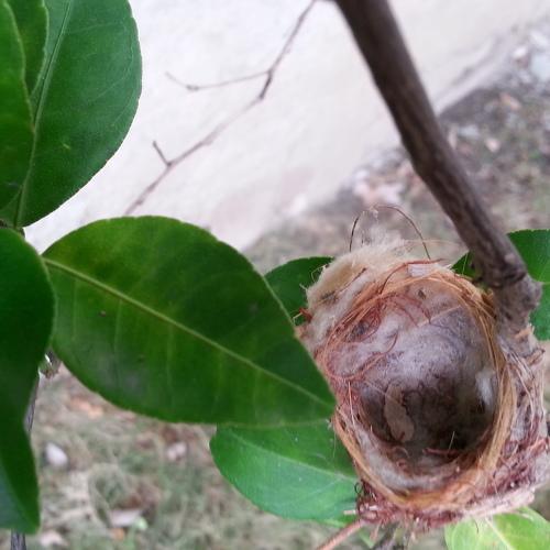 Photo #4115051