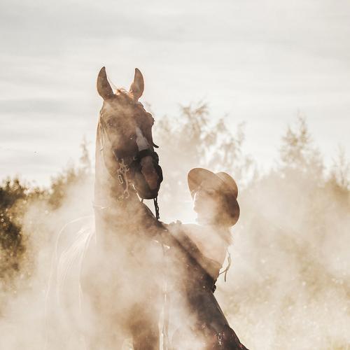 Photo #4115484