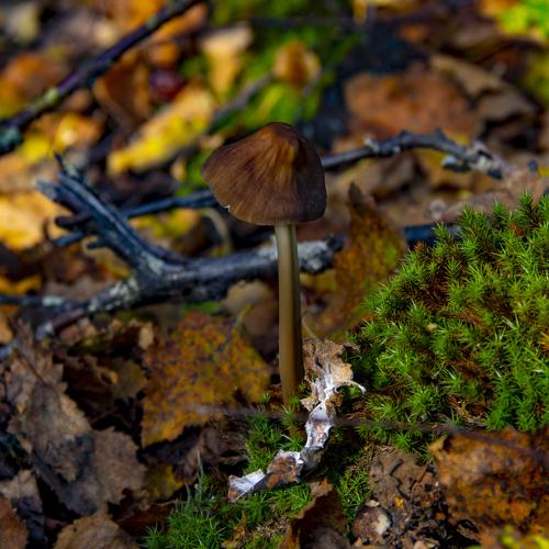 Photo #4116127