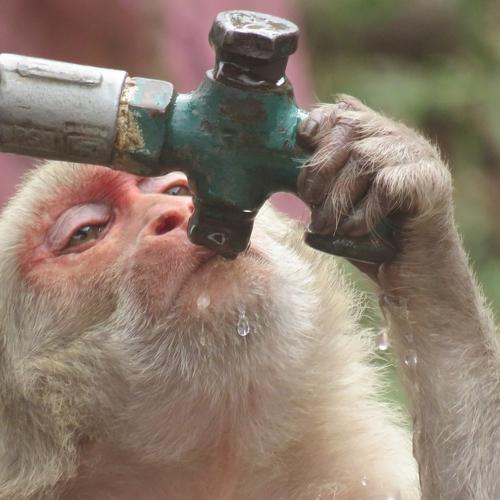 Photo #4116236