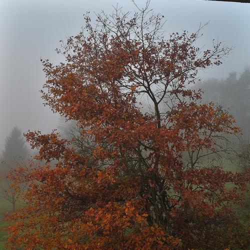 Photo #4116257