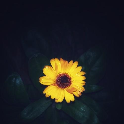 Photo #4116433