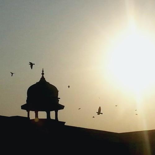Photo #4116440
